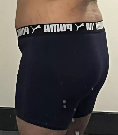 Like the boxers? by Buddy_Blaster