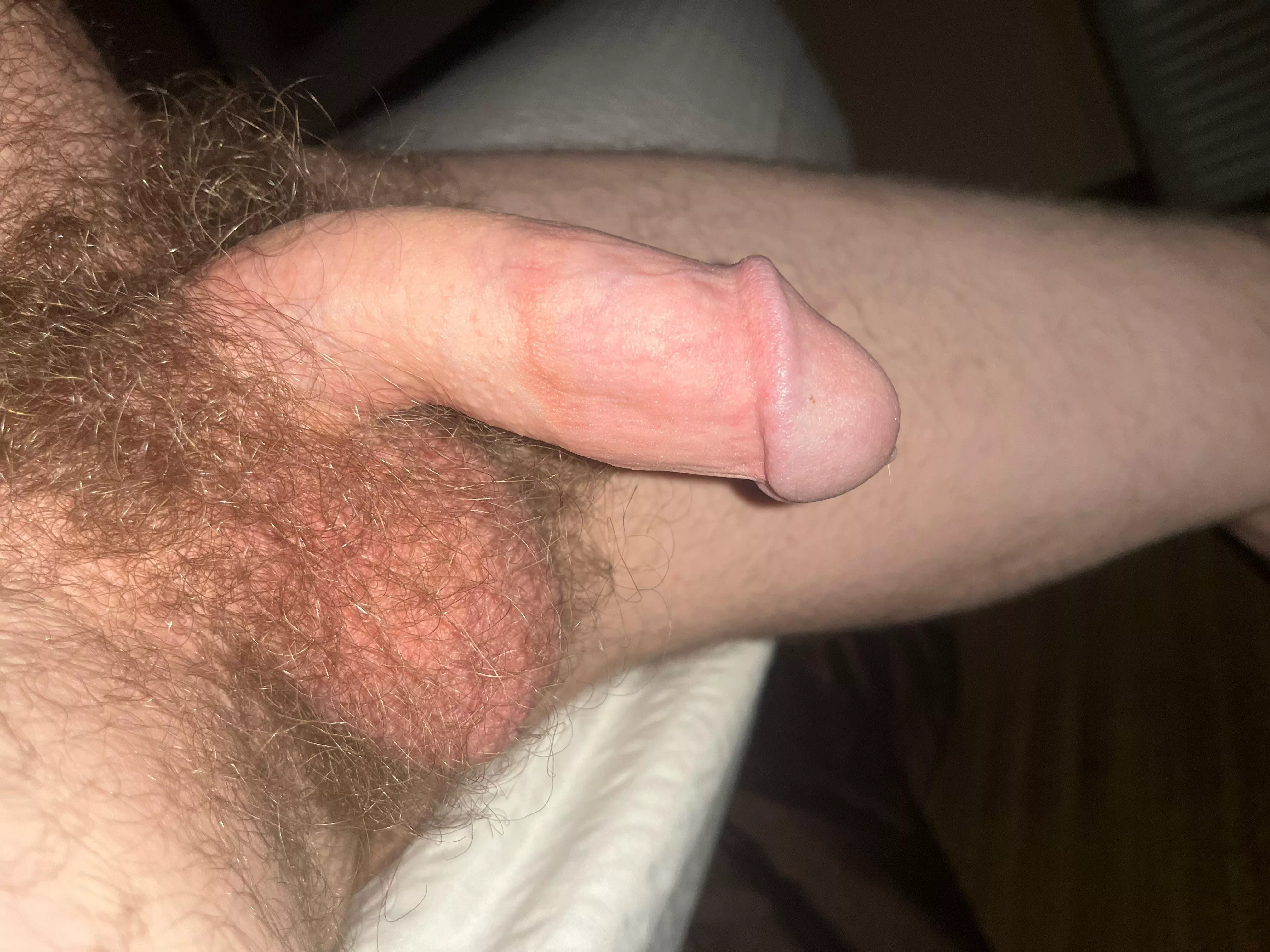 Man still kinda hard posted by ScientistAmazing866