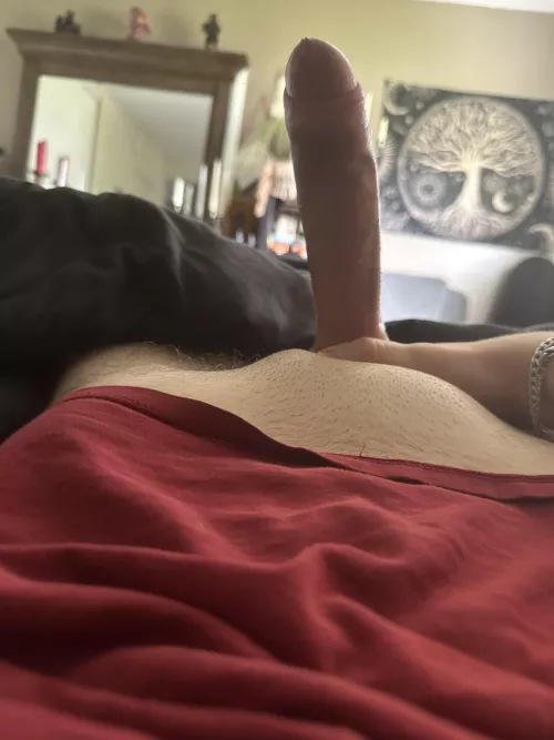 🥴 my teenage cock every morning for no reason: by yourboy66699