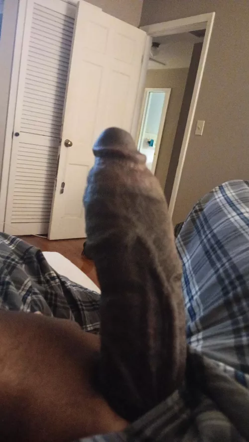 Needing a distraction from the PS5 ATM. Perhaps a big ass 😏 by Blackheart287