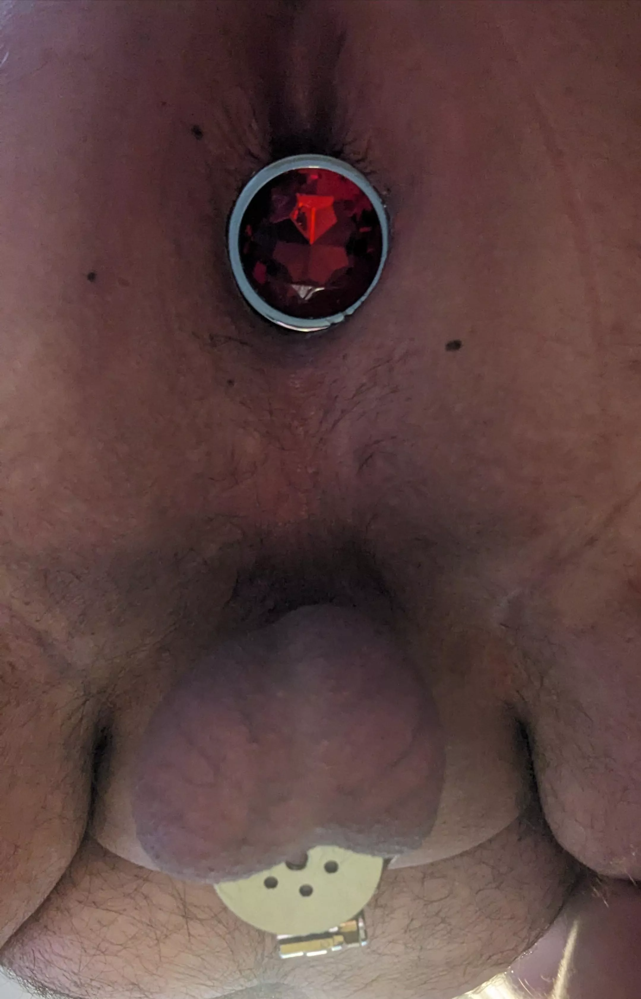 Nothing like being locked up and plugged up 🥵 posted by Darkknight5277