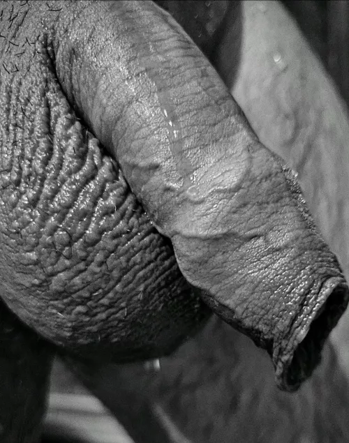 Playing with 50 shades of Grey... by 8inchtoplaywith