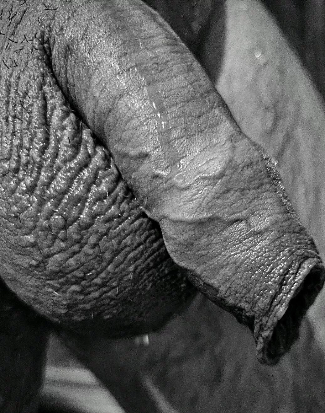 Playing with 50 shades of Grey... posted by 8inchtoplaywith