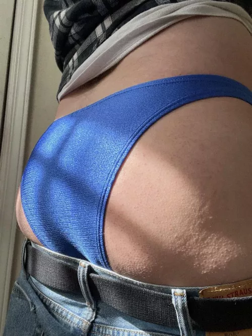 Tuesday's Work Panties: Cheeky Brazilians by Zestyclose-Bet-1723