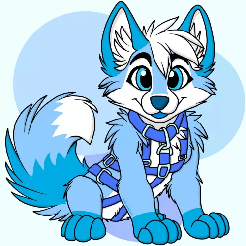 Walkies? :D by KatFurry4