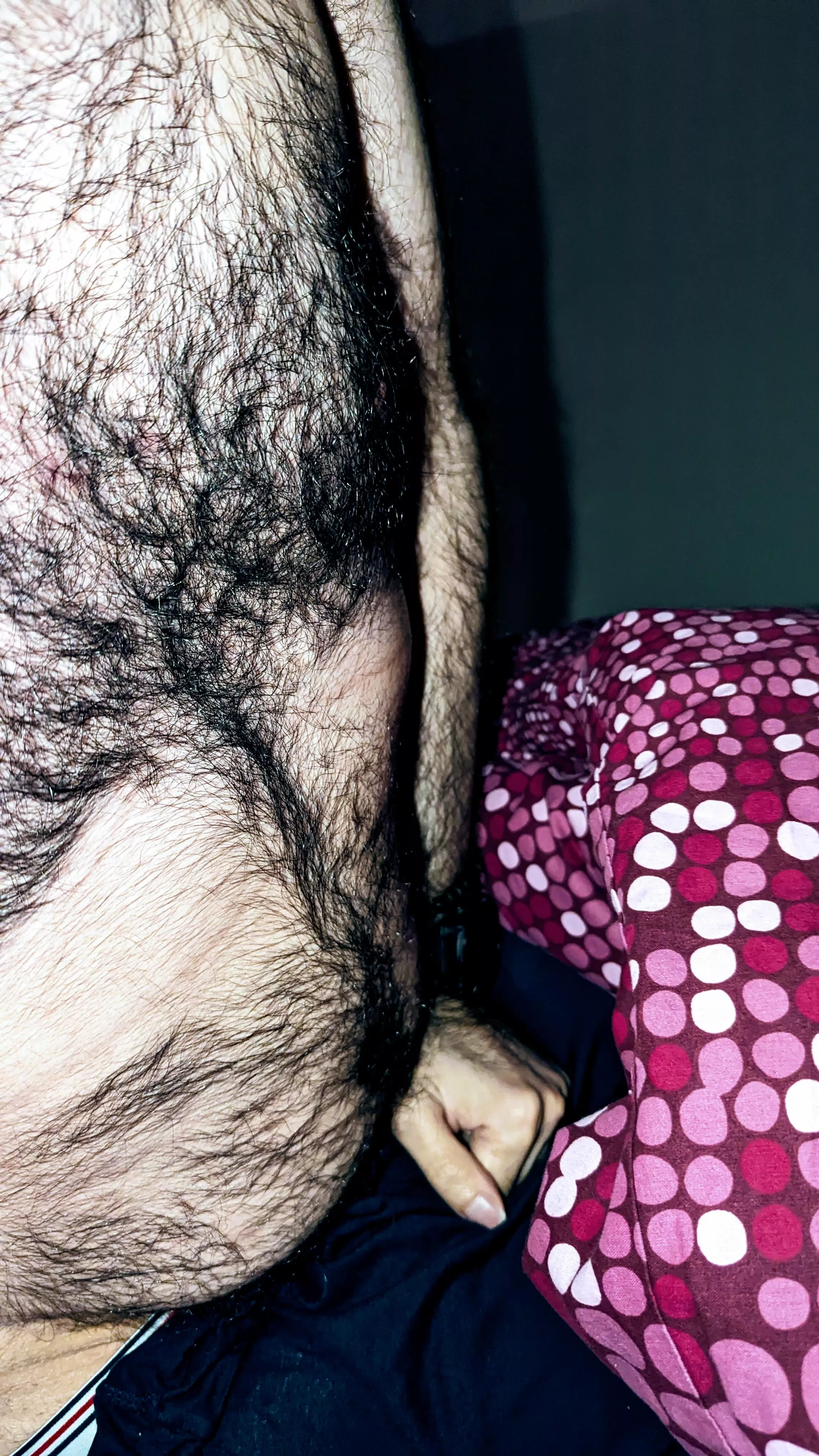 Wanna jump on the bed ? posted by Anxious_Ananas_643