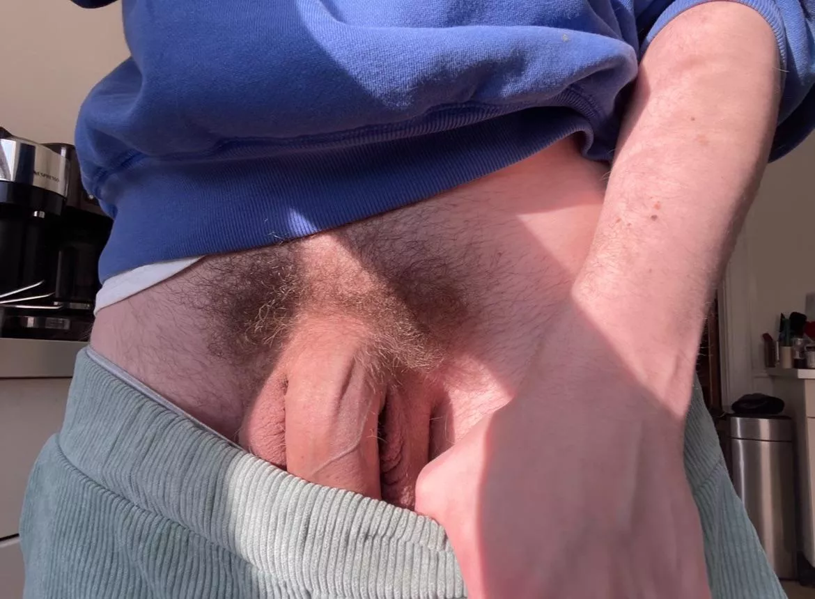 where the bush worshippers at?  posted by touchmybuddy