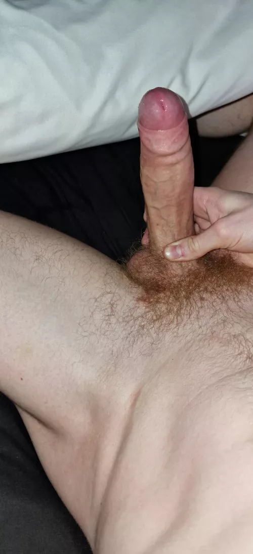 Woke up needing to cum by Scotch_Cock