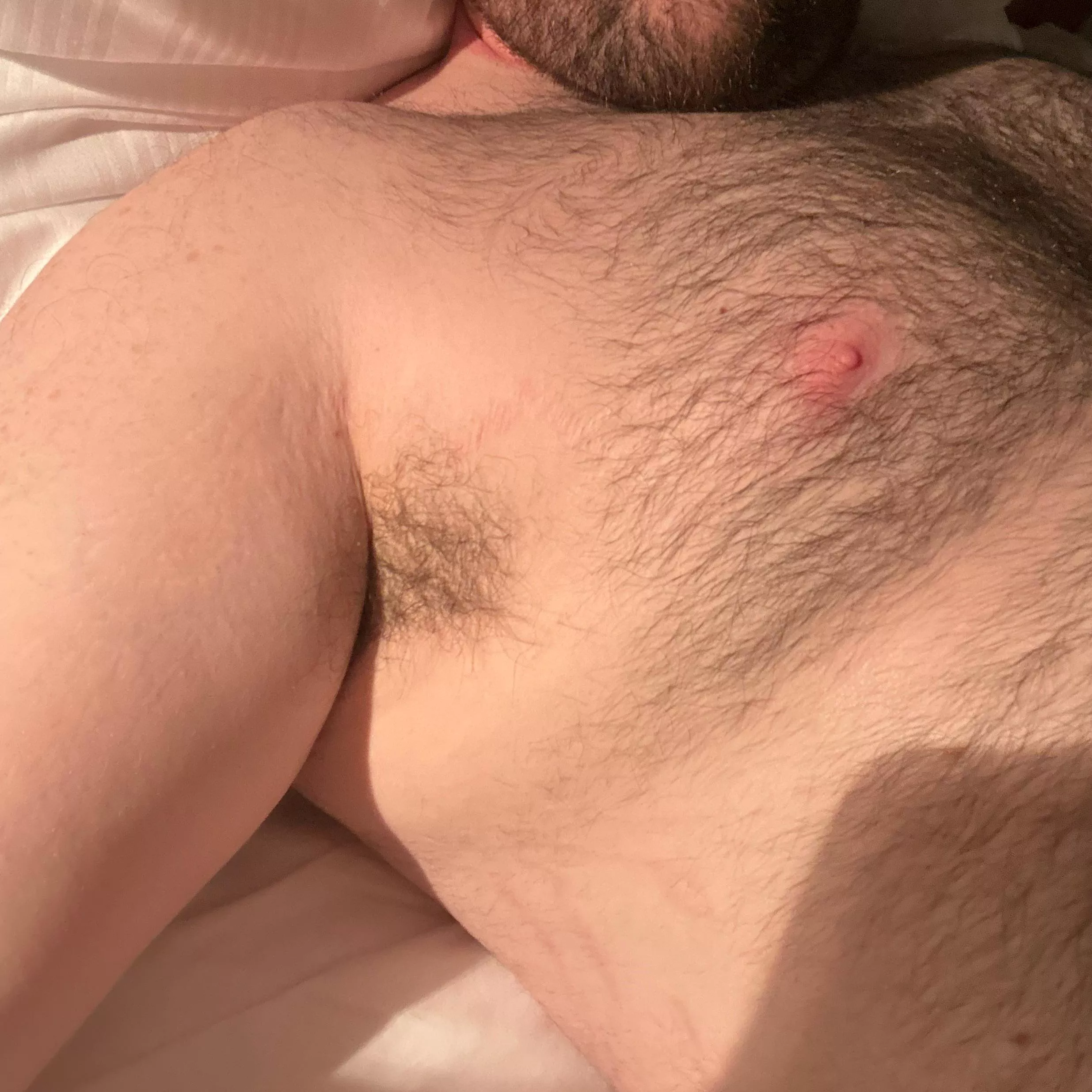 30m beefy top daddy, in a hotel away from home waiting for a slutty bottom. 18+ only. Sc: Dutch_gaydaddy posted by Dutchtopdude