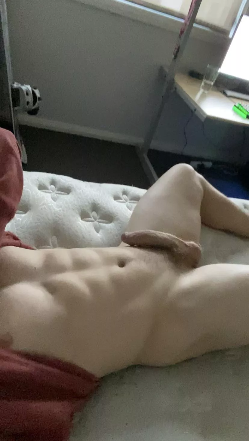 Are you into Aussie studs?  posted by Numerous-Good530