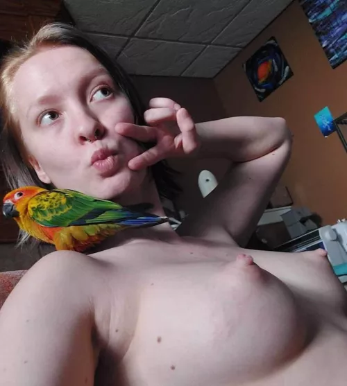 Did you even see the bird ? by No_Interview_6489