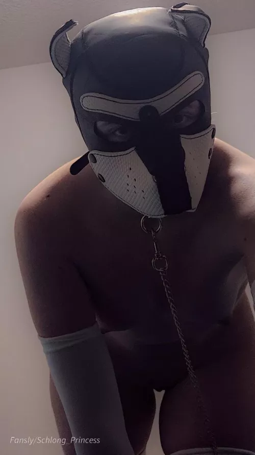 Do you let puppies on the bed? by Schlong-Princess