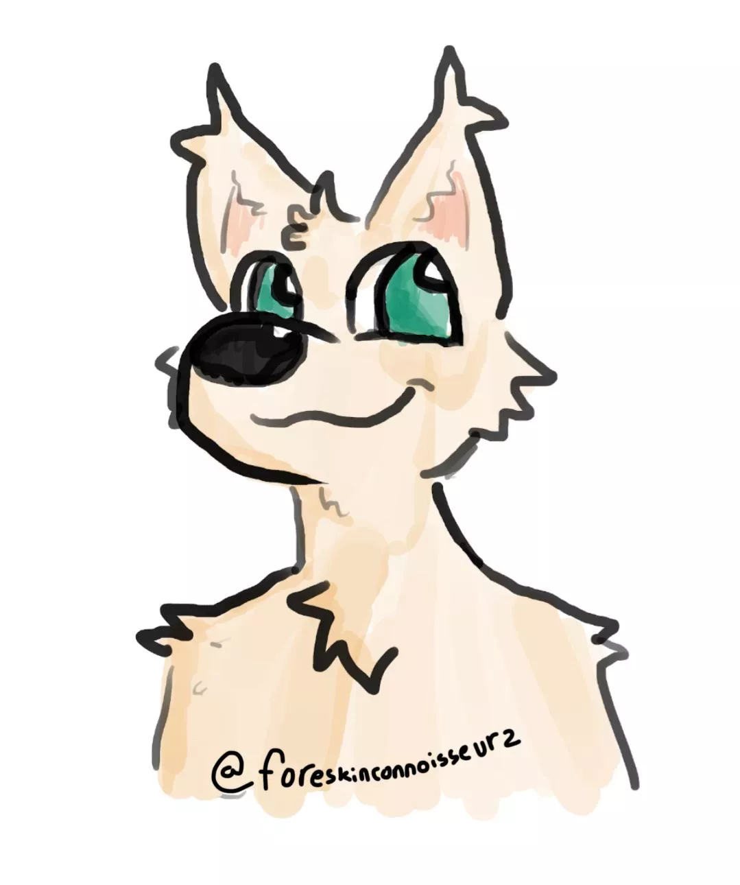 First time doing digital furry art! Let me know what you think ^^ posted by foreskinconnoisseur2
