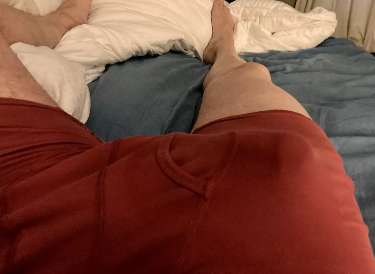 Good afternoon :) posted by ficklemutt