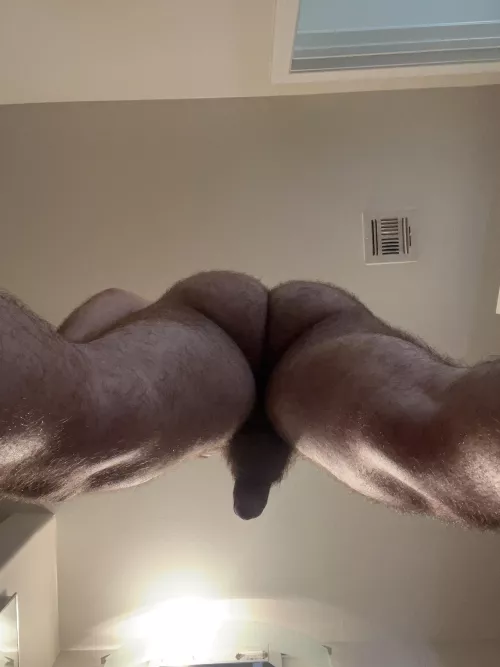 🐶 hey y’all by Electrical-Peace7637