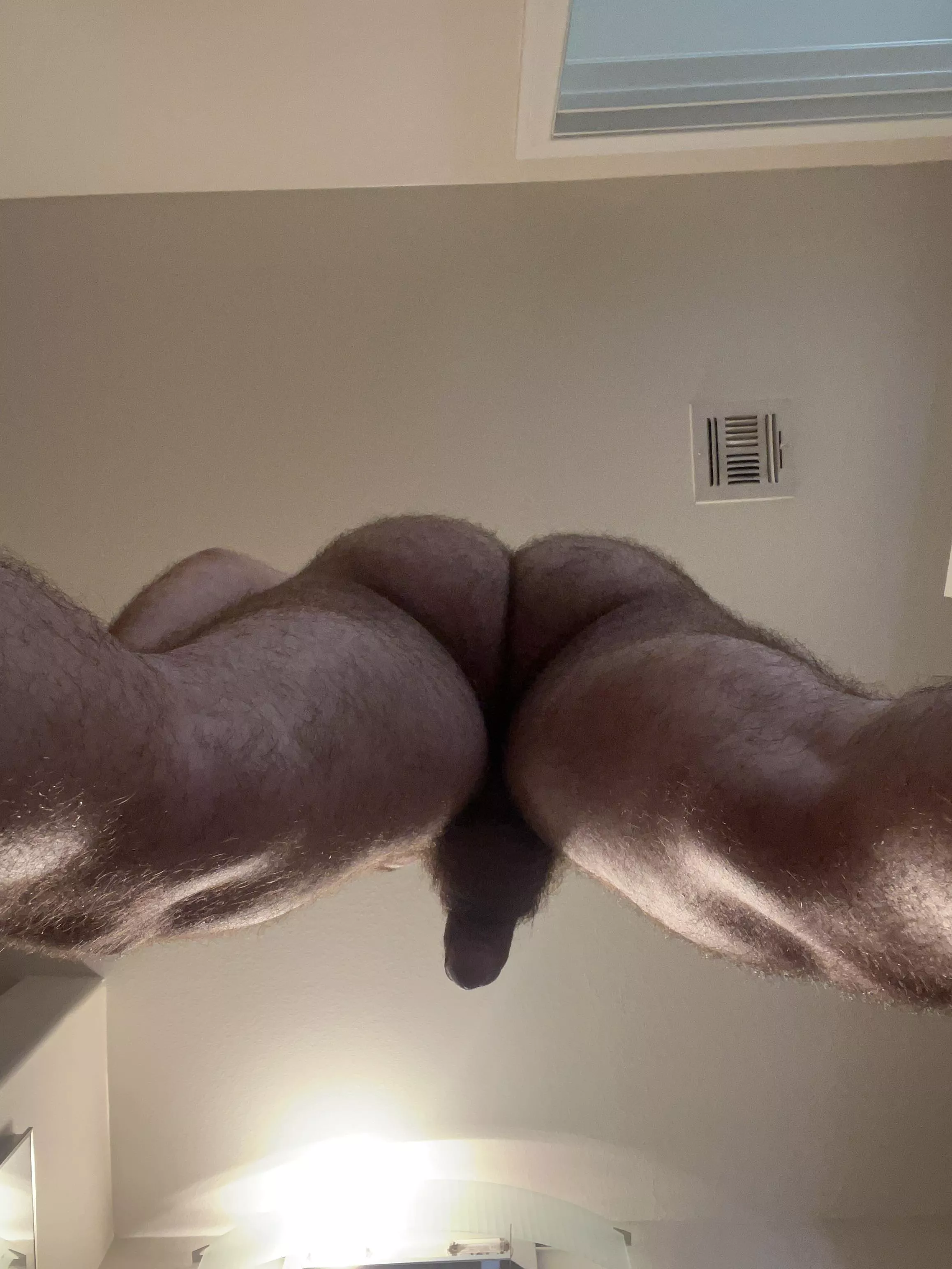 🐶 hey y’all posted by Electrical-Peace7637