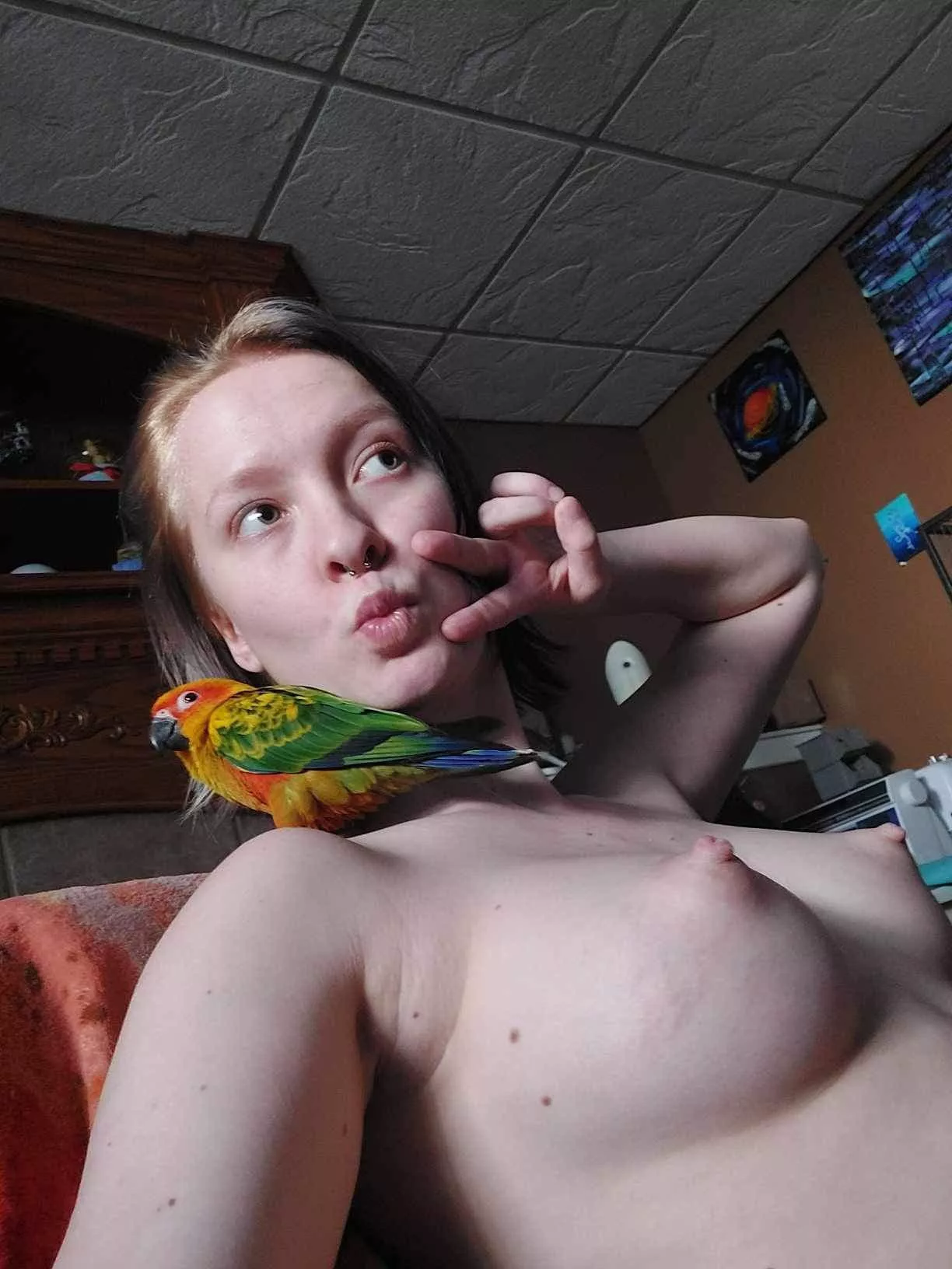 Just to birds hanging out  posted by No_Interview_6489