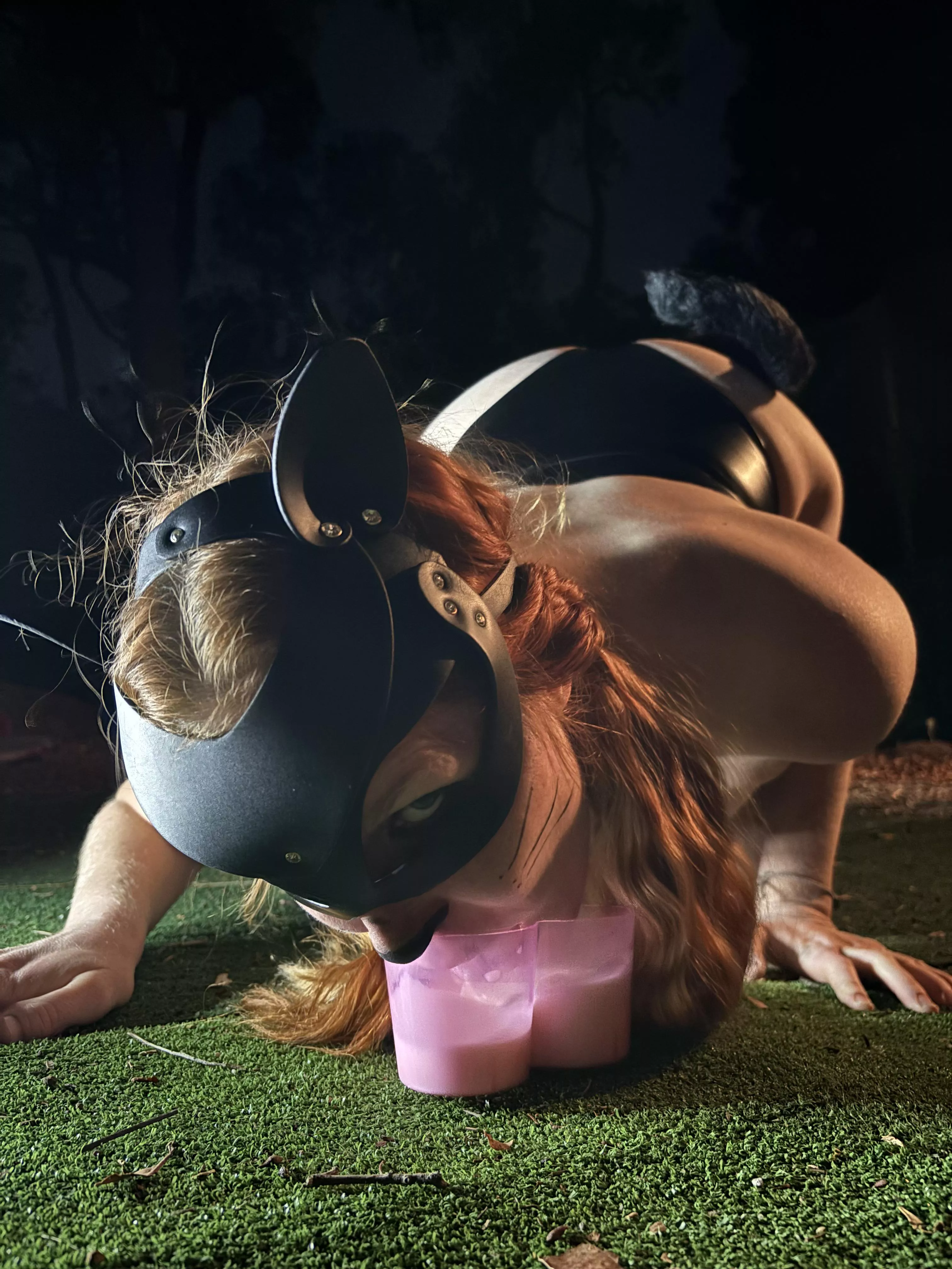 Meow! Kitty is thirsty [OC] posted by GroundOk7951