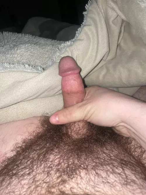 Need some help :)  by Savings_Draw_659