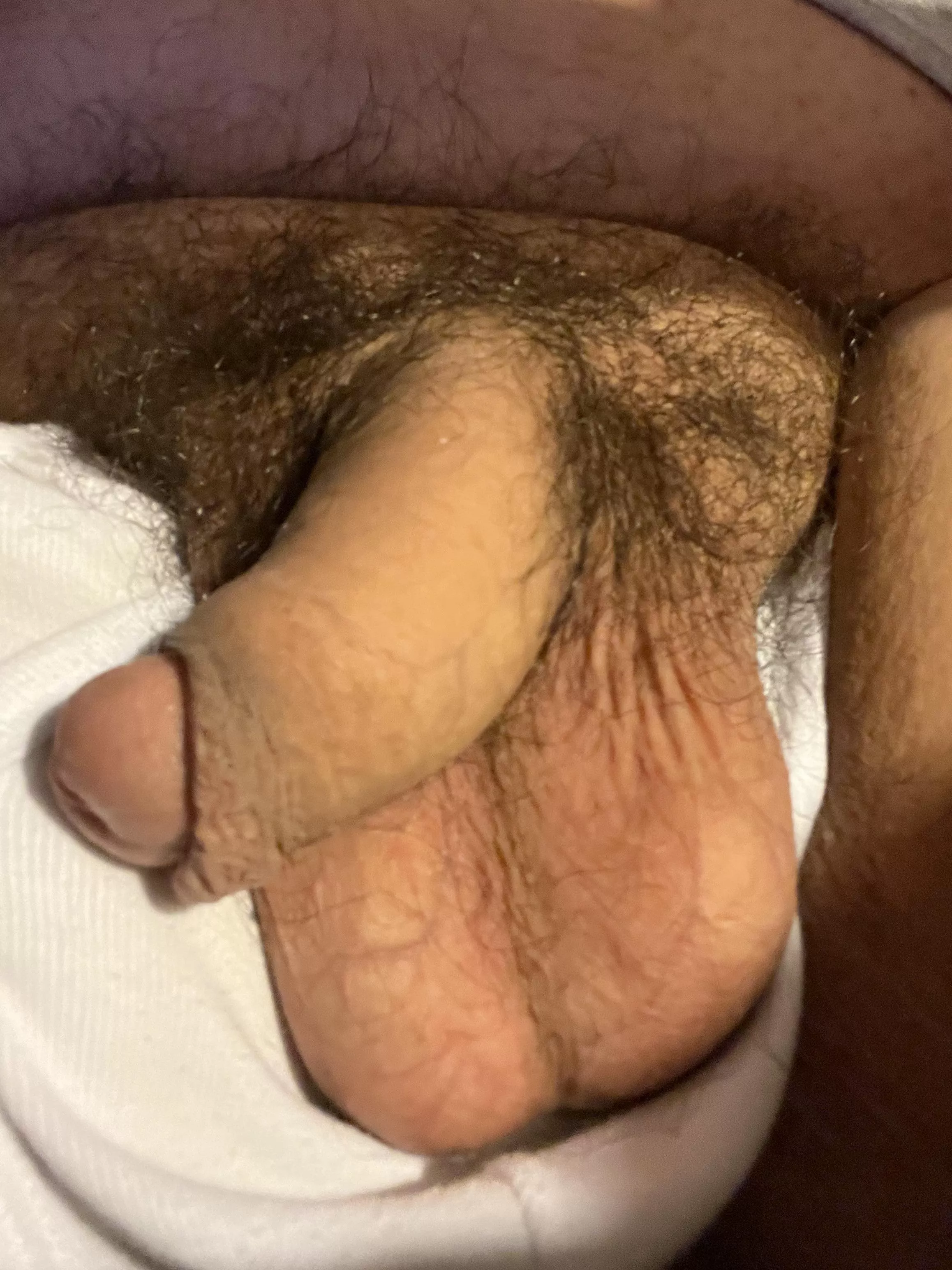 Nice to finally hang out posted by husbearandbooboo