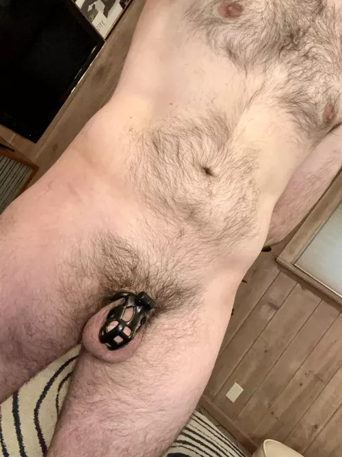 Not sure if anyone likes this here by RealityMission7829