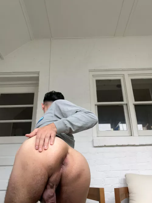 Somebody come fuck this. I’m in heat 🥵🤤😏 by altybttm