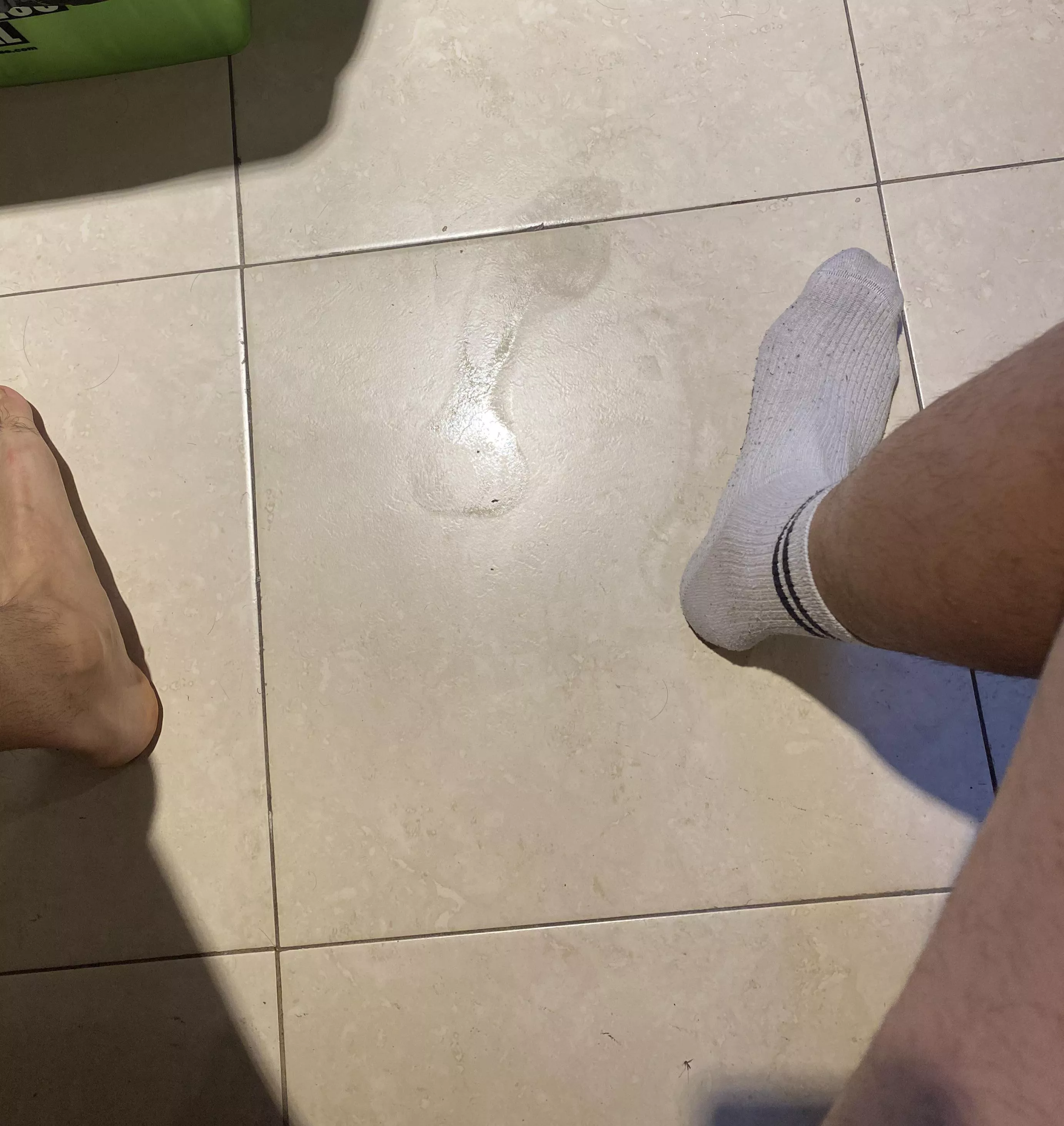 what would you do first? Lick or sniff?  posted by charjasal