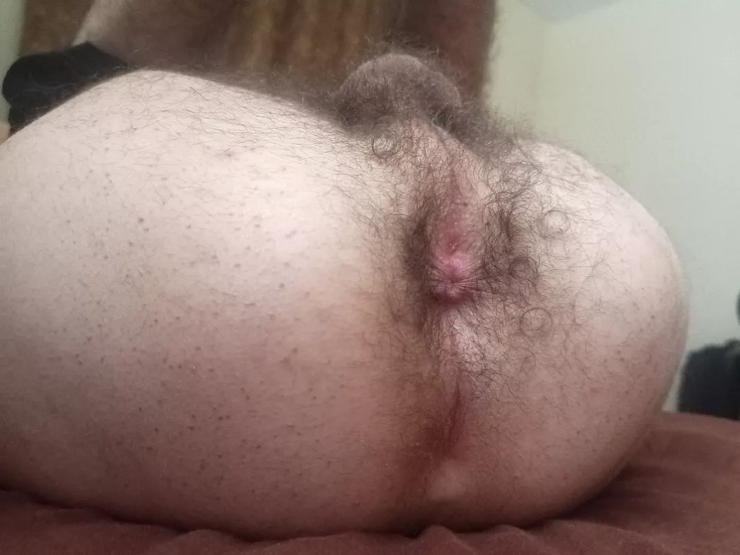 breed my hairy hole posted by Practical_Phrase_720