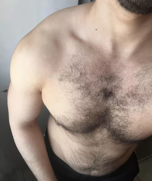 Chest is coming along by Ok_Pay1943