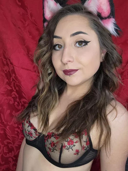 Confident lil pet by WickedxxBunni