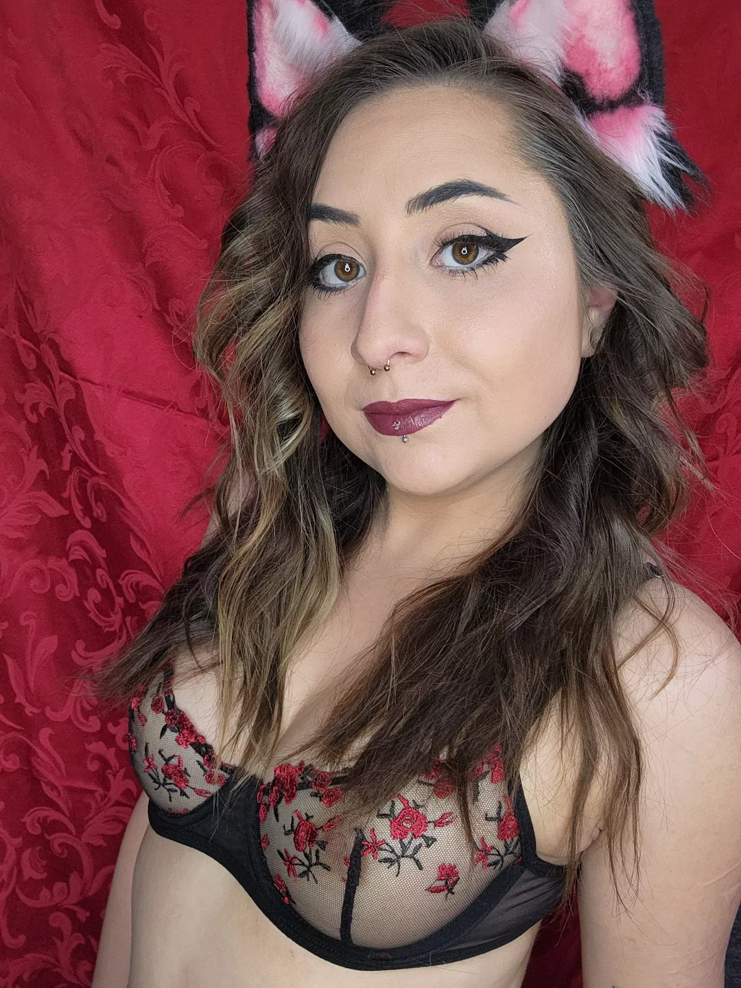 Confident lil pet posted by WickedxxBunni