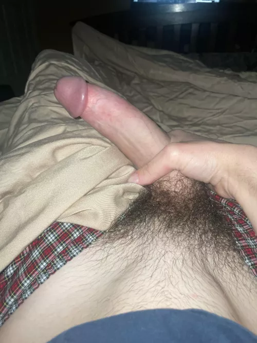 Cum suck on my big cock 🤤 by No_Marketing_4781
