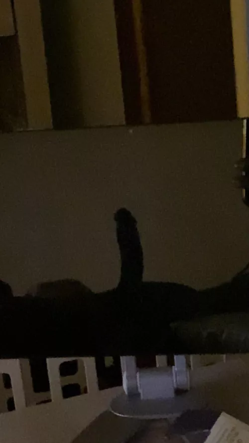 Does this count? by SALEMTHESTAR