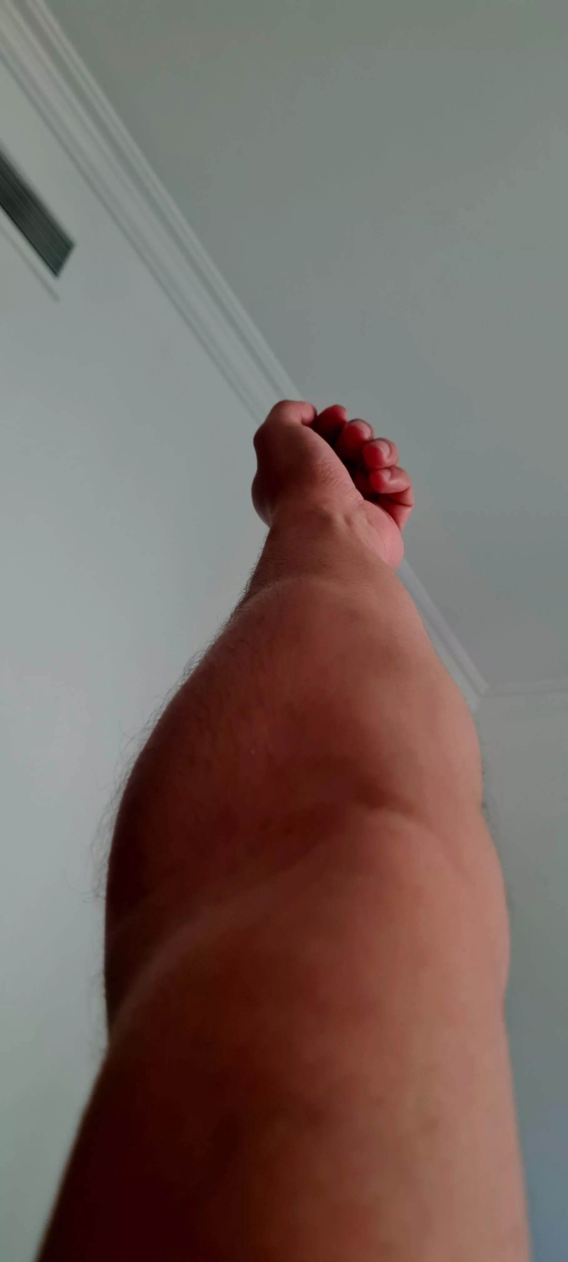 Forearm Focus  posted by Murky-Birthday-3145