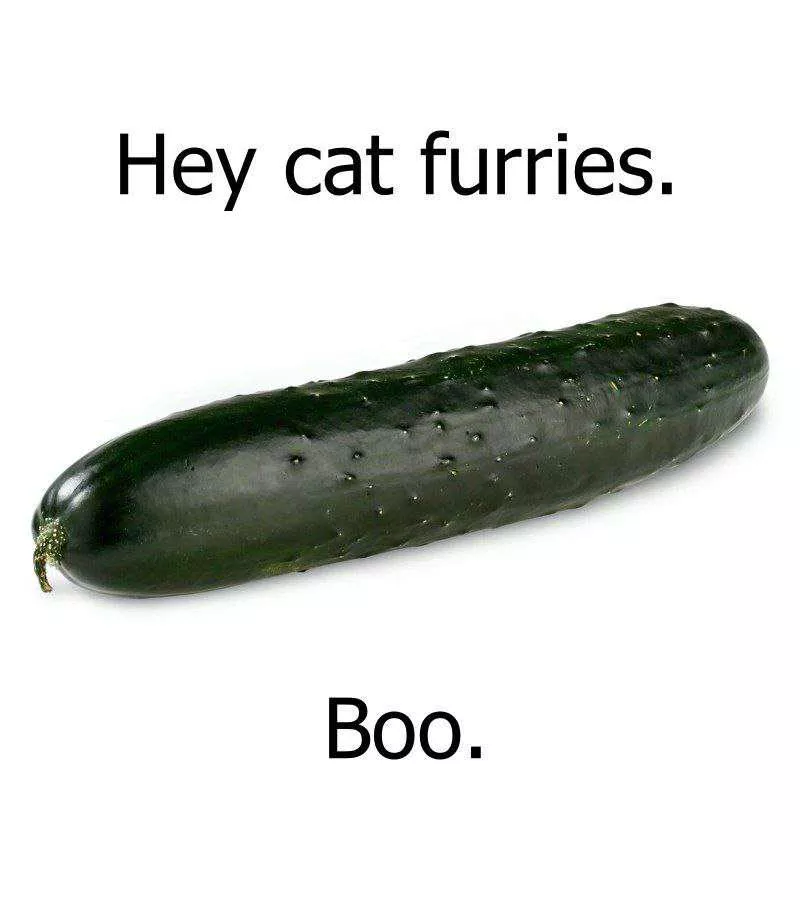 From a member of the rabbit furries lol posted by R_E_G_G_I_E