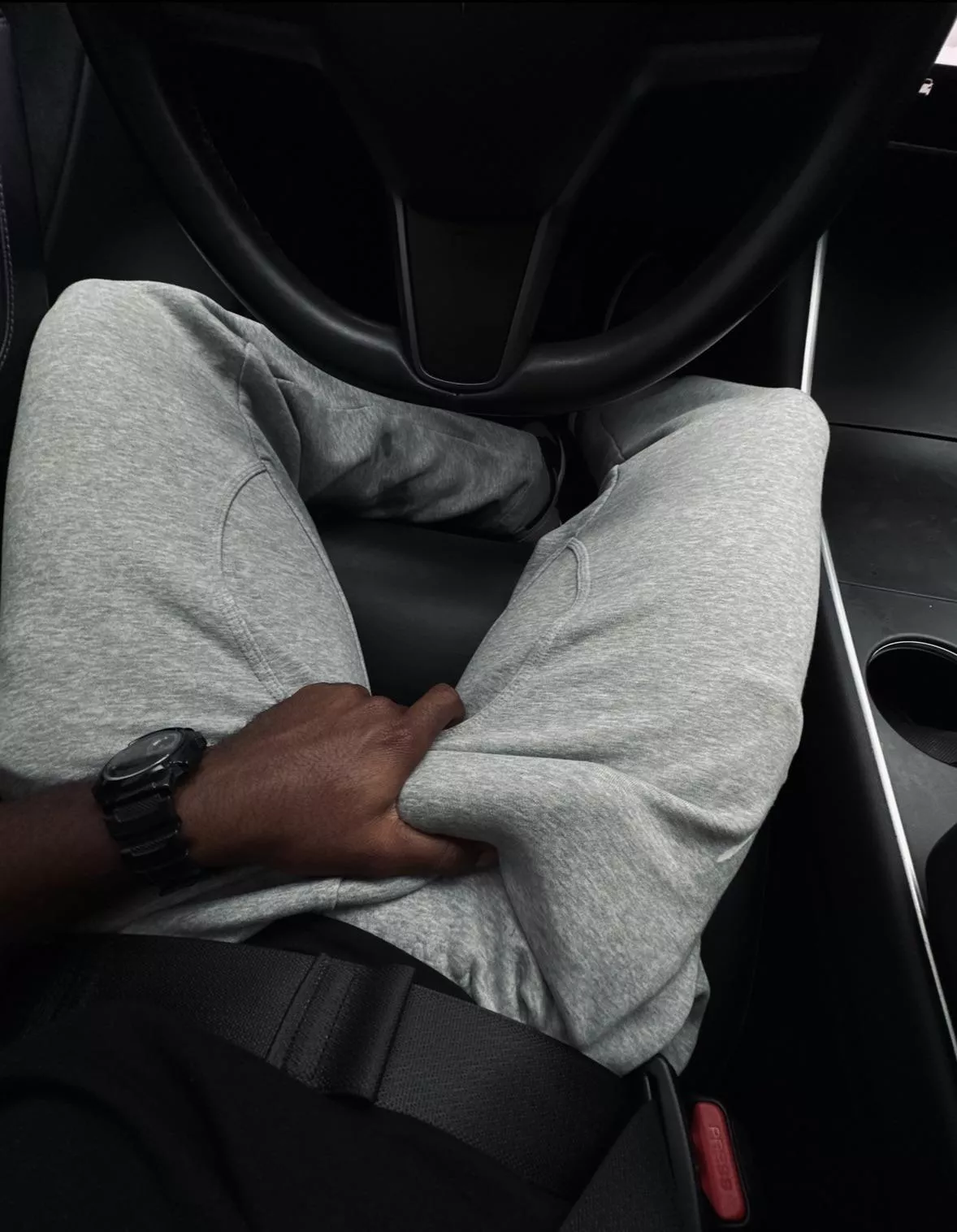 Getting hard while my Tesla is on autopilot posted by Kitchen-Can-8695