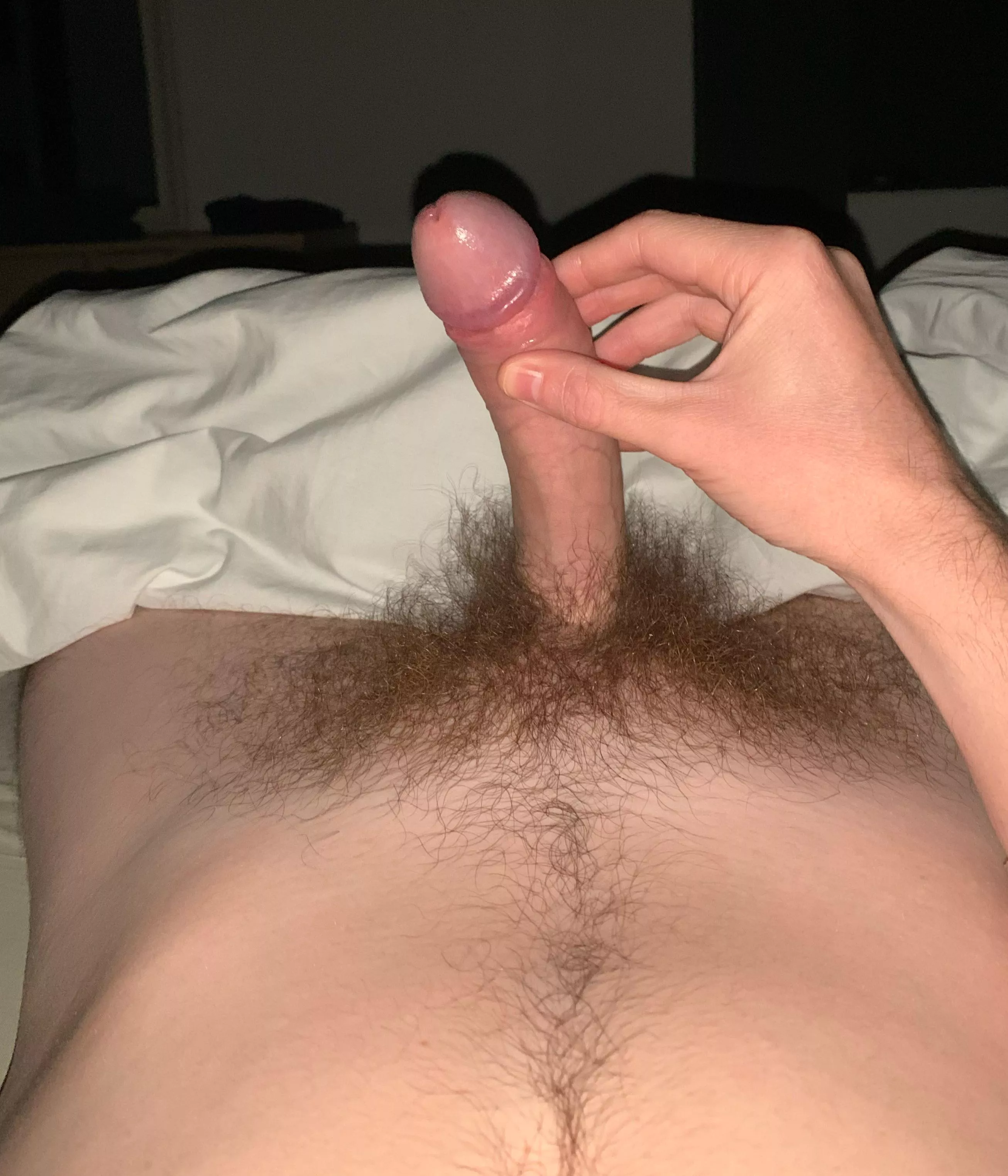 Is my bush impressive?  posted by zjustin18