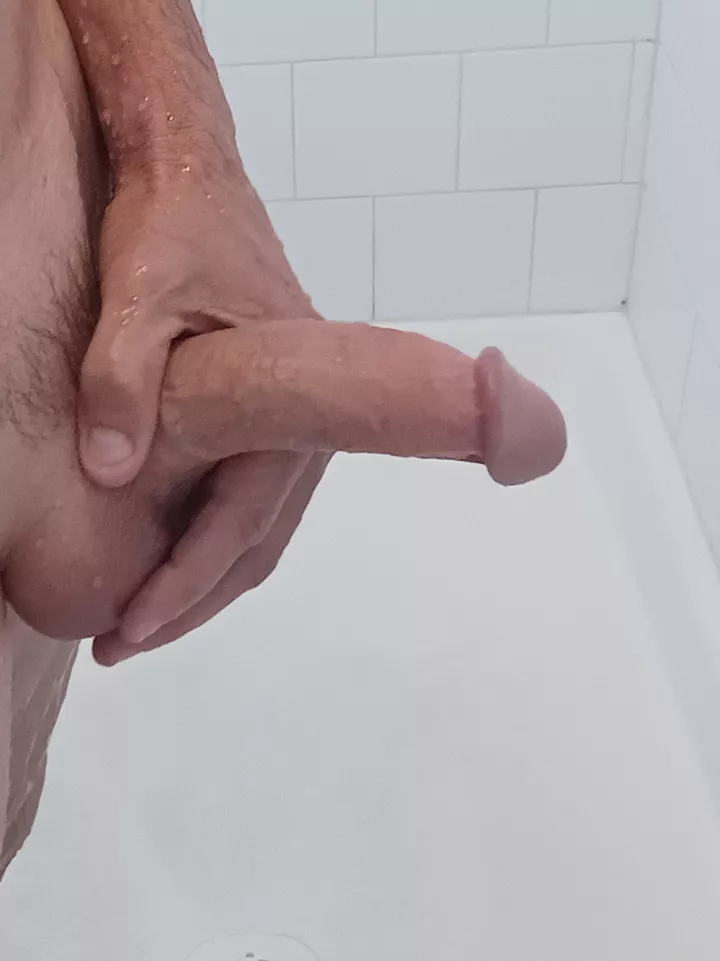 I've been told it's nice to look at  posted by lookingisfun