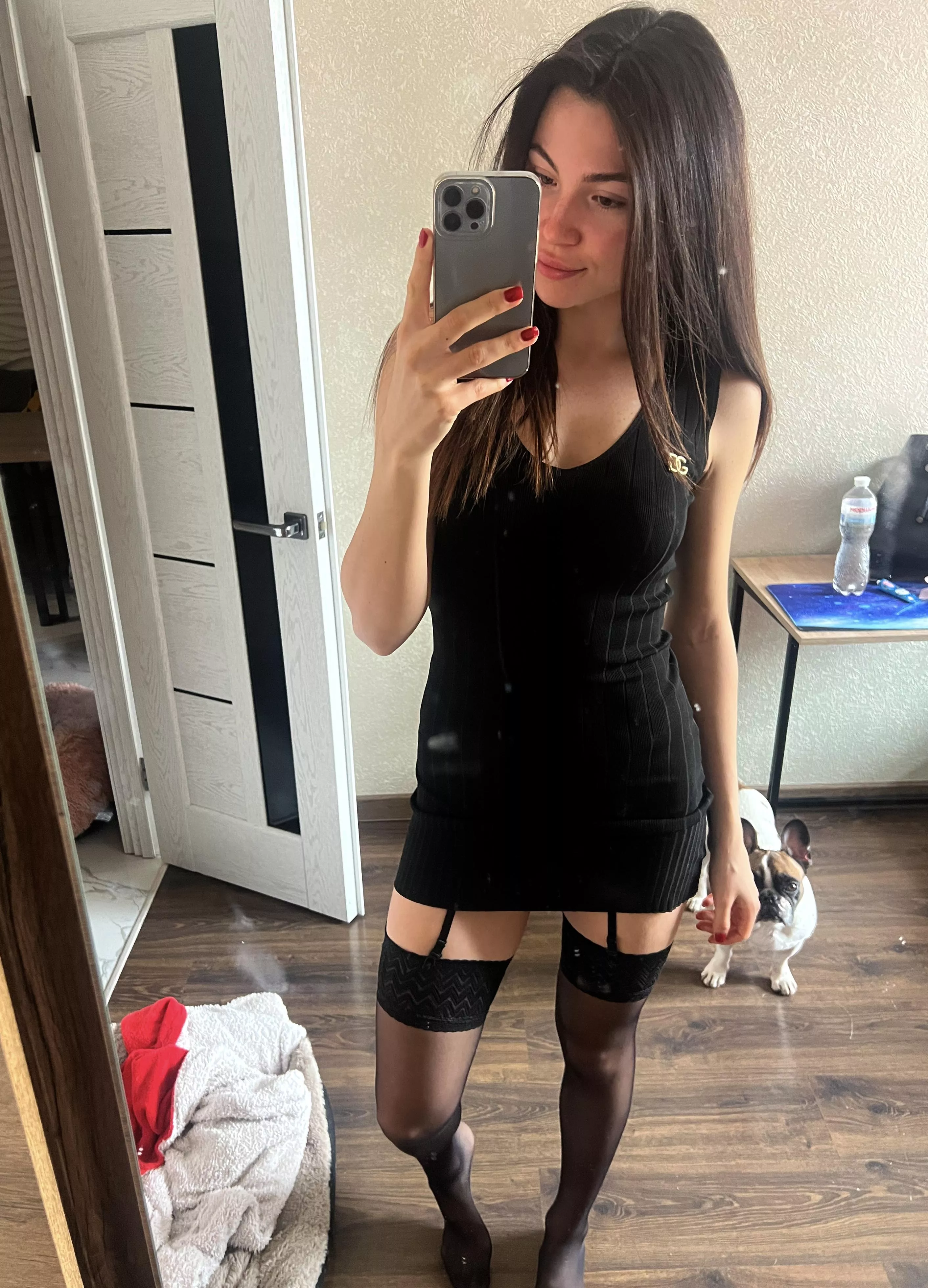 My dog is waiting for me to take a picture for you and take him for a walk posted by rebz26