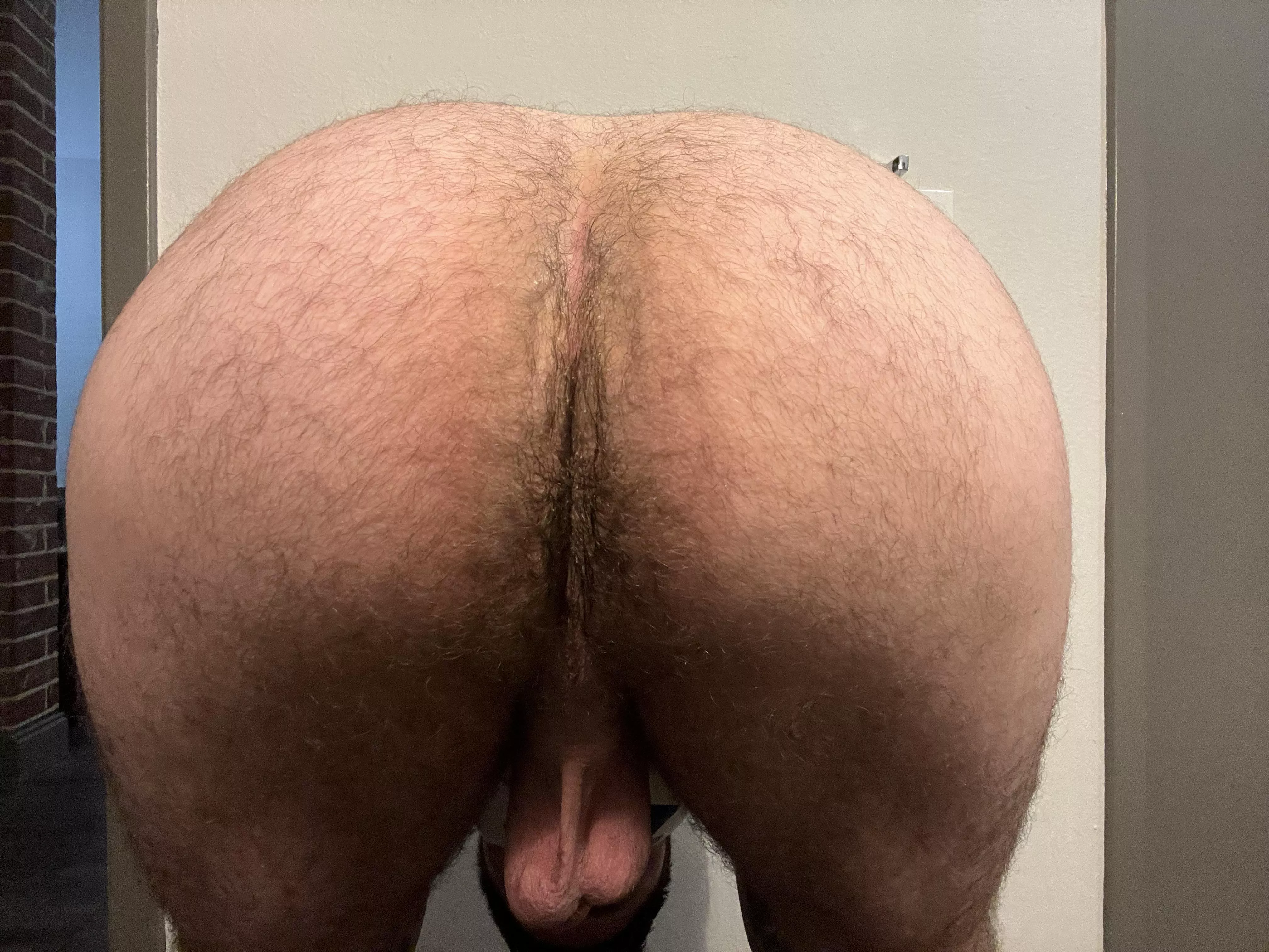 My hairy hole needs a tongue stat! posted by TheBootyWarrior666