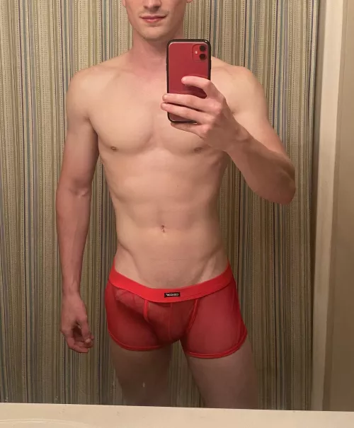 Old Pic with the Mesh by RandoBrowsingReddit