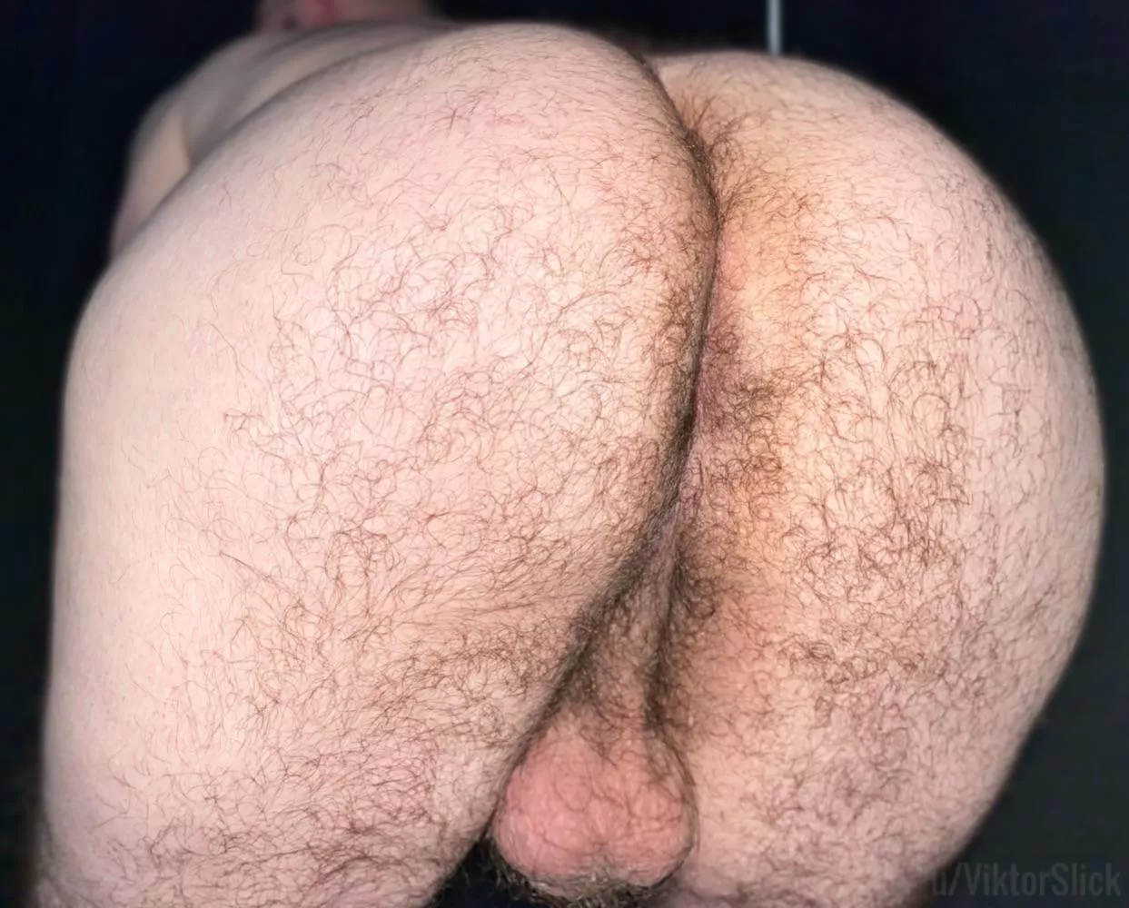 Some hump day ass posted by ViktorSlick