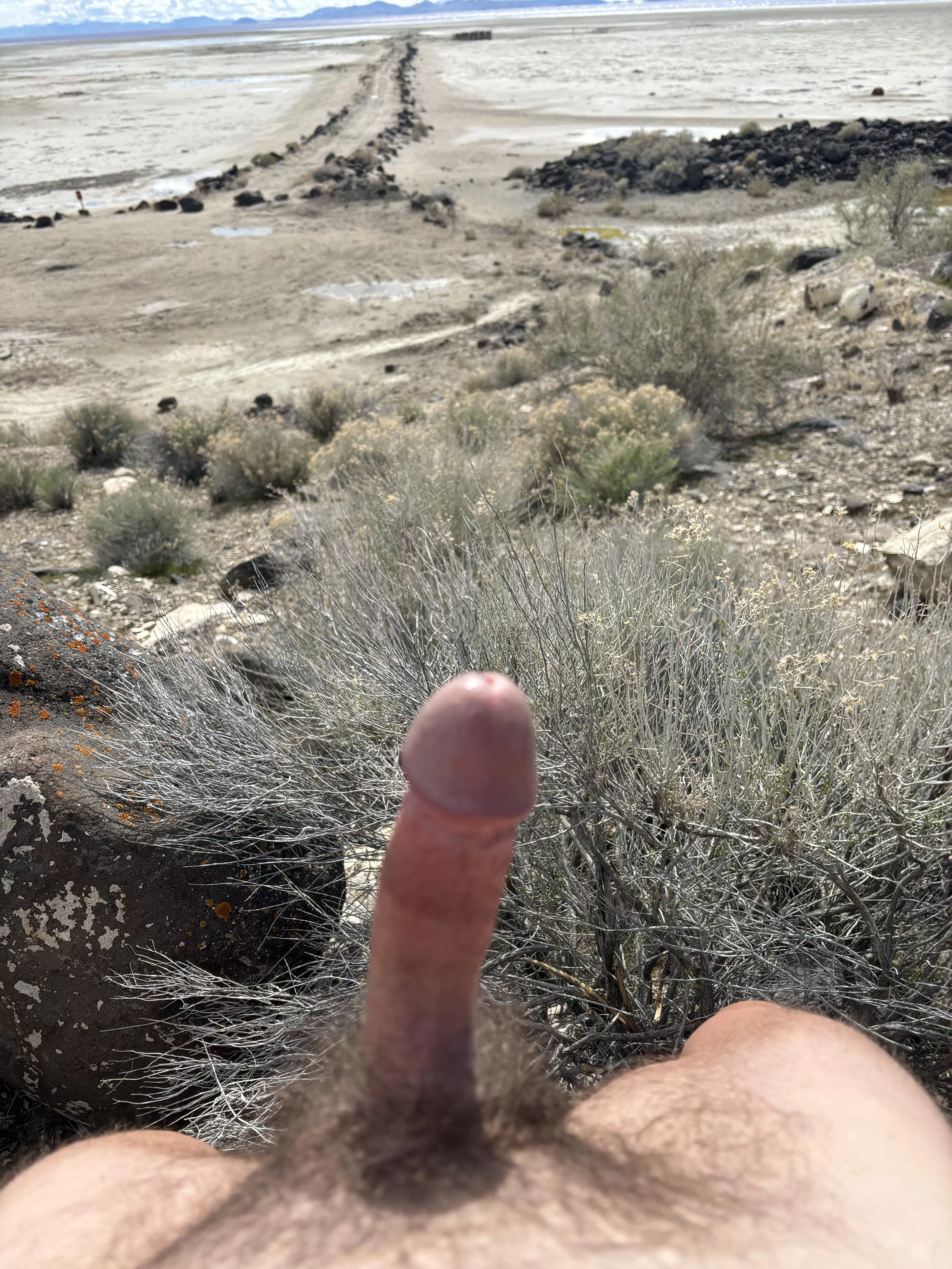 To be naked posted by No-Cold-988