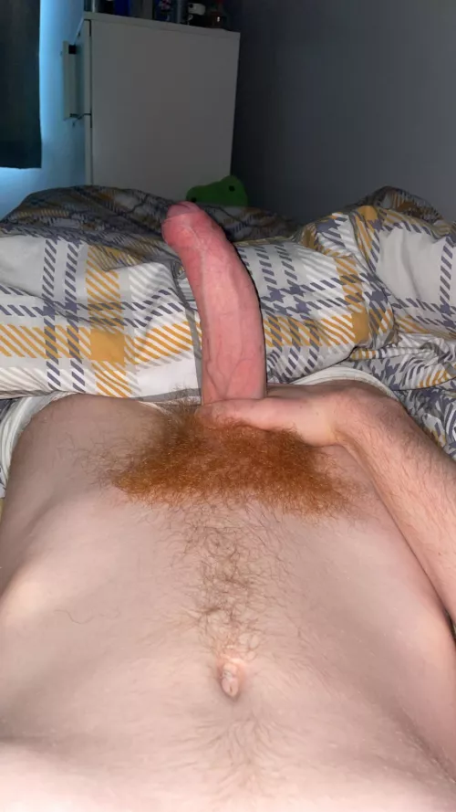 18, 9” curious, wanna jerk with bros. show face. snap: owen_0p0 by Top_Mongoose_4805