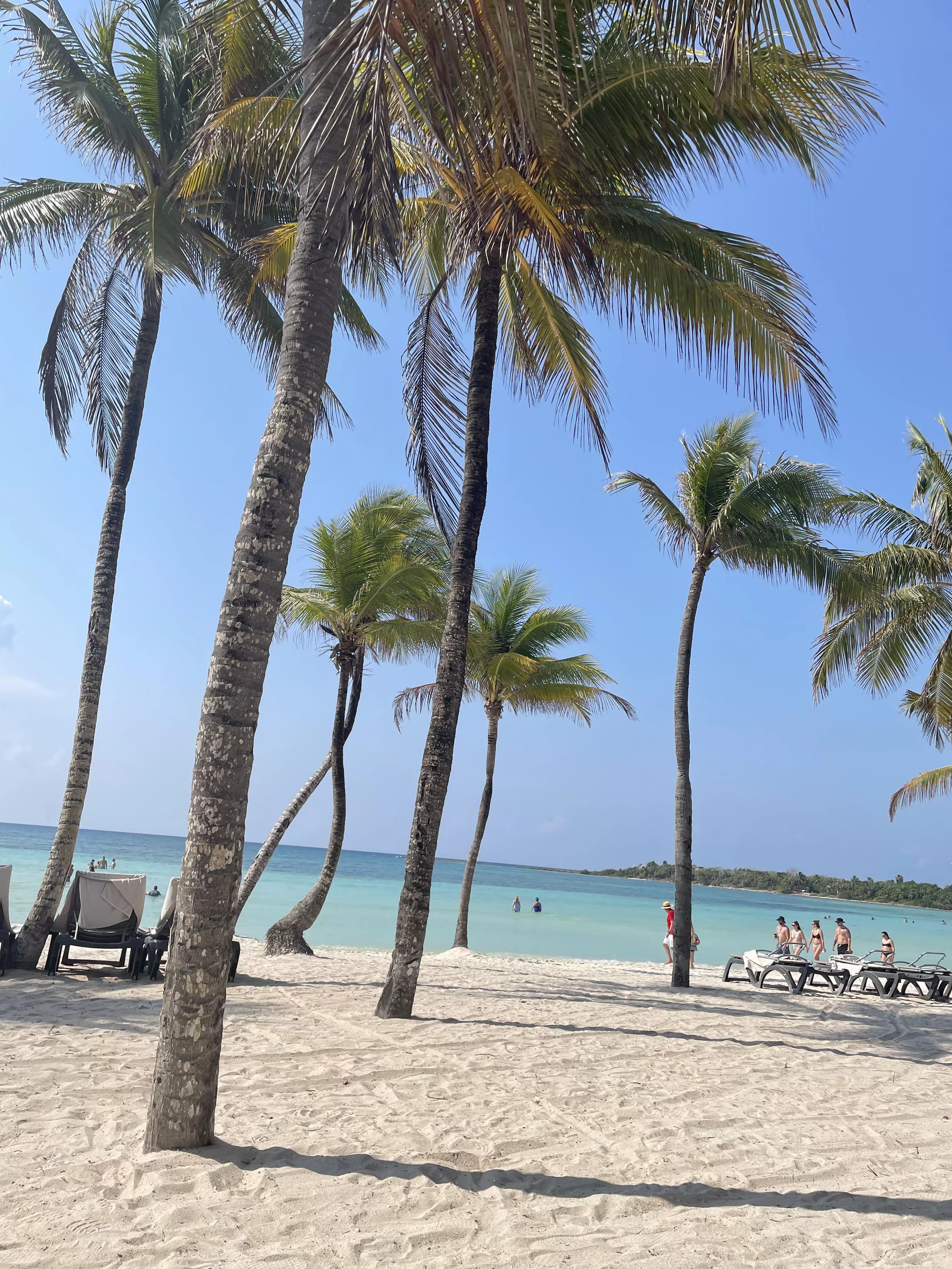 Barcelo Maya Beach, Mexico posted by Lillilovesbondi