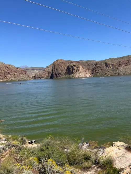 Couple new to ls by Successful-Career476