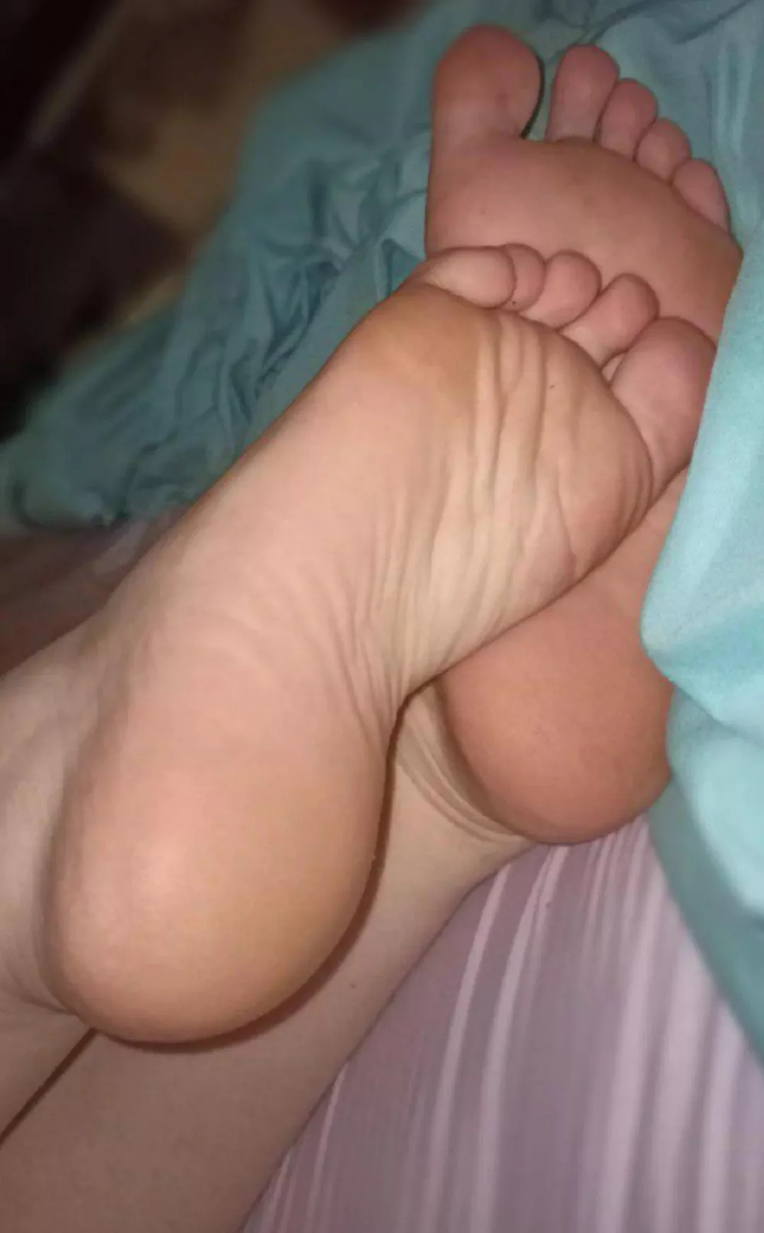 do you wanna play with them?🥺 posted by Visible-socks-42