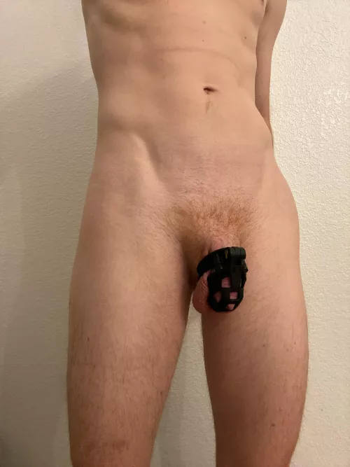 Does this Ginger Cock deserve to stay Locked?  by gingerboynextdoor