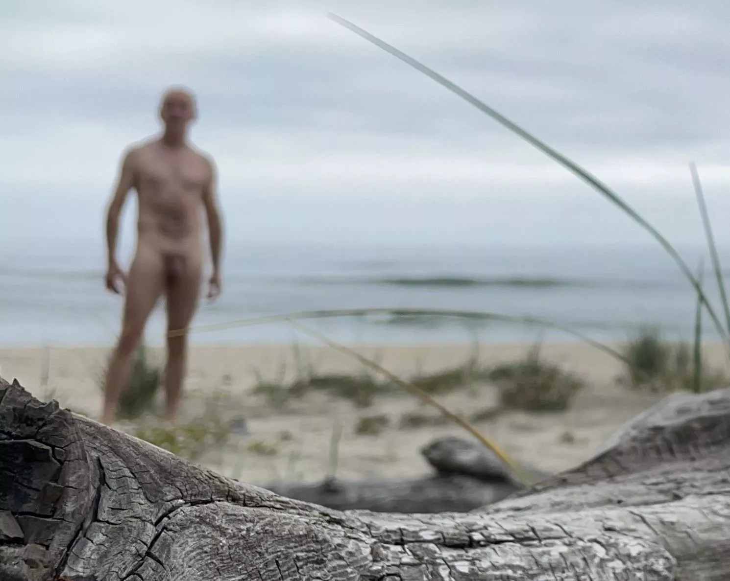 Happy casual Friday! posted by beachandforestfun