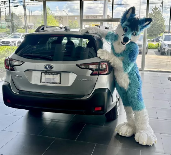 “I, a kit fox, am still taller!” by spiritofniter